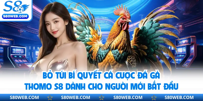 Bỏ túi bí quyết cá cược đá gà Thomo S8 dành cho người mới bắt đầu