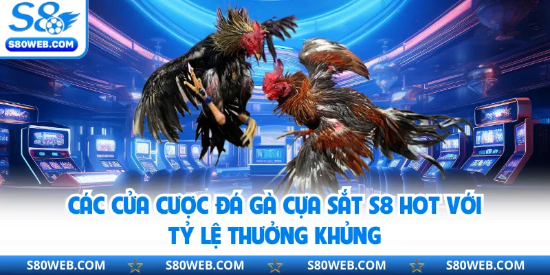Các cửa cược đá gà cựa sắt S8 hot với tỷ lệ thưởng khủng