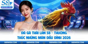 Đá Gà Thái Lan S8 - Thưởng Thức Những Màn Đấu Đỉnh 2026