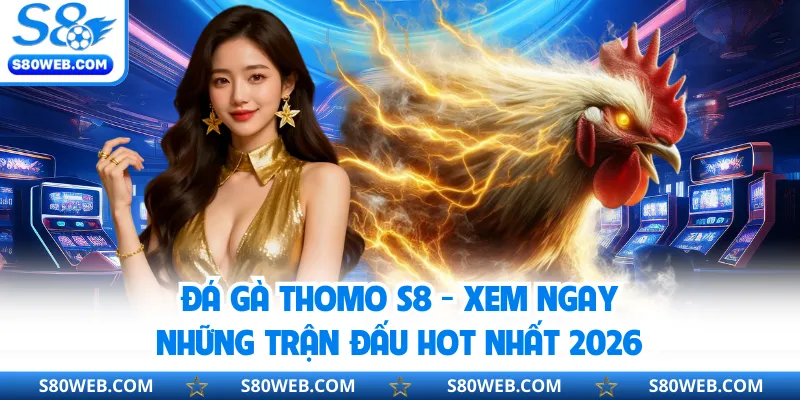 Đá Gà Thomo S8 - Xem Ngay Những Trận Đấu Hot Nhất 2026
