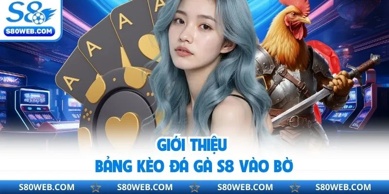 Giới thiệu bảng kèo đá gà S8 vào bờ