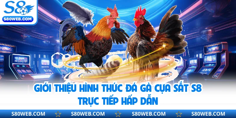 Giới thiệu hình thức đá gà cựa sắt S8 trực tiếp hấp dẫn