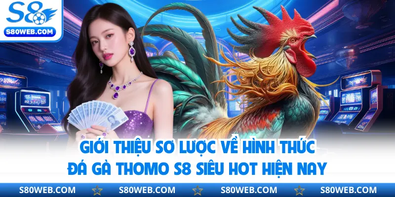 Giới thiệu sơ lược về hình thức đá gà Thomo S8 siêu hot hiện nay