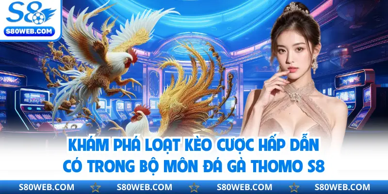 Khám phá loạt kèo cược hấp dẫn có trong bộ môn đá gà Thomo S8