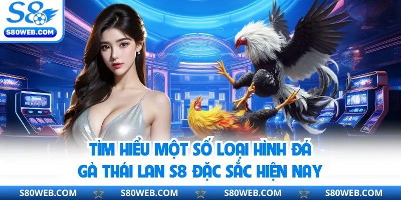 Tìm hiểu một số loại hình đá gà Thái Lan S8 đặc sắc hiện nay